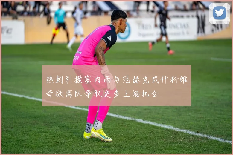 热刺引援塞内西与范赫克武什科维奇欲离队争取更多上场机会