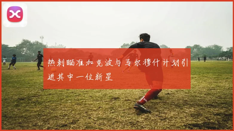 热刺瞄准加克波与马尔穆什计划引进其中一位新星