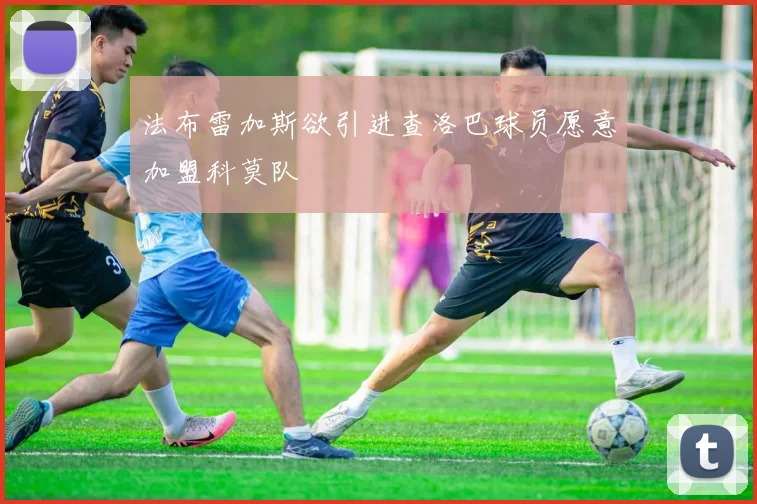 法布雷加斯欲引进查洛巴球员愿意加盟科莫队